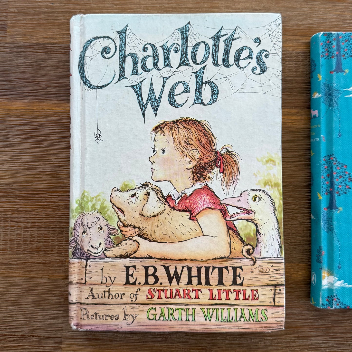 Charlotte’s Web