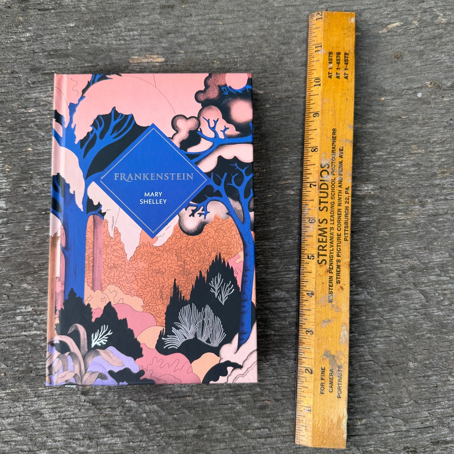 Frankenstein - Vintage Classics