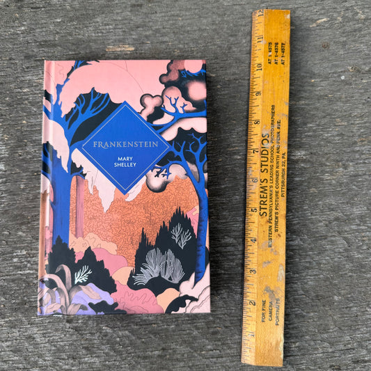 Frankenstein - Vintage Classics