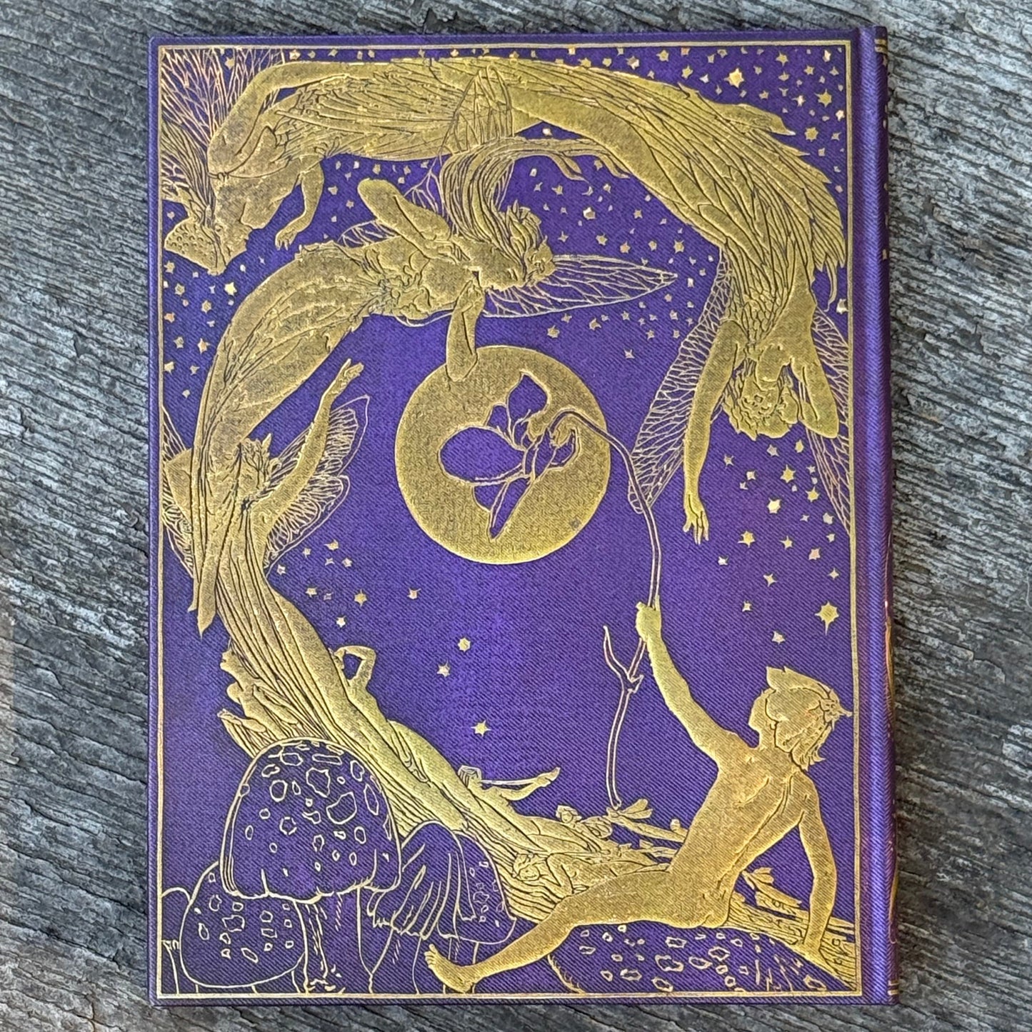 Violet Fairy