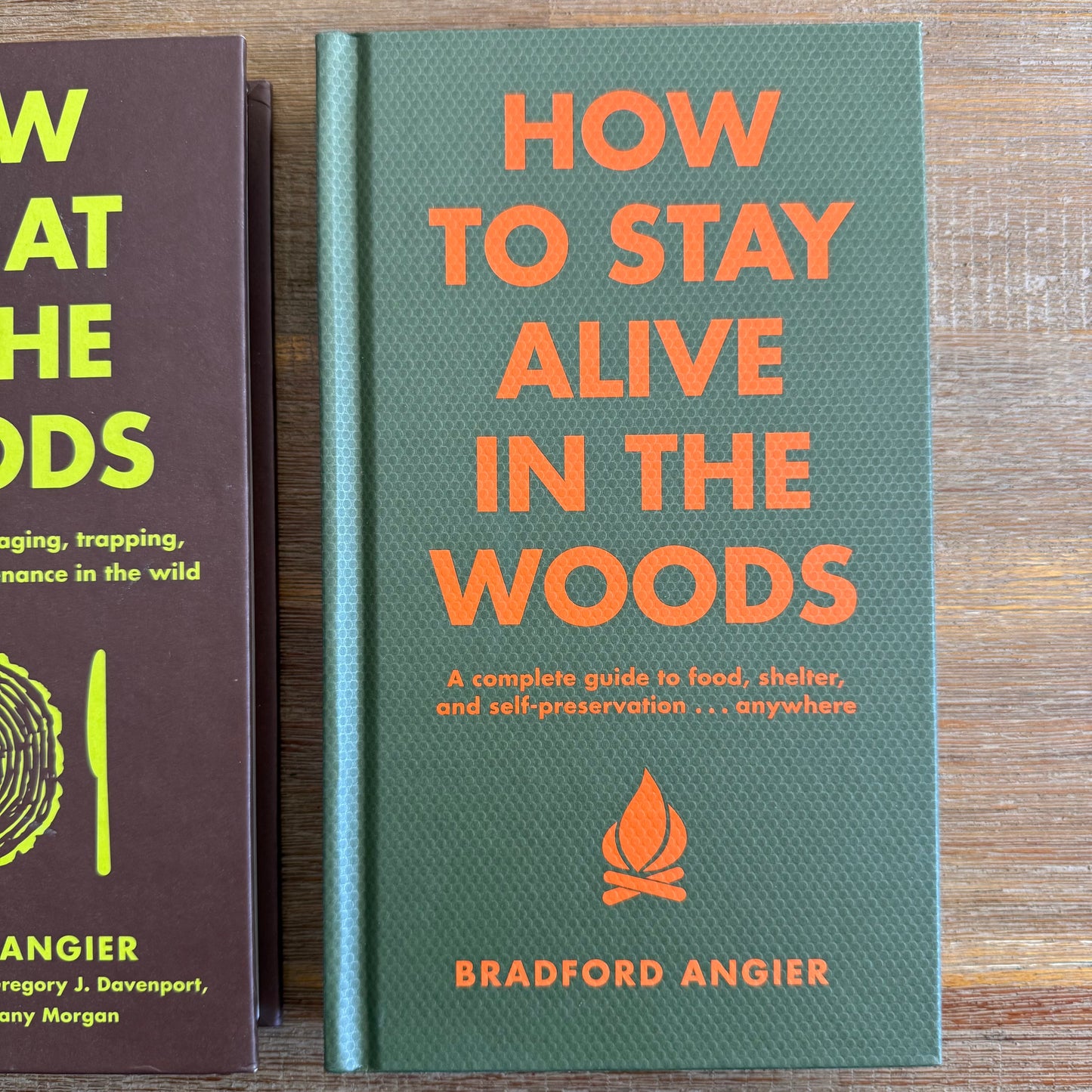 How to Stay Alive in the Woods
