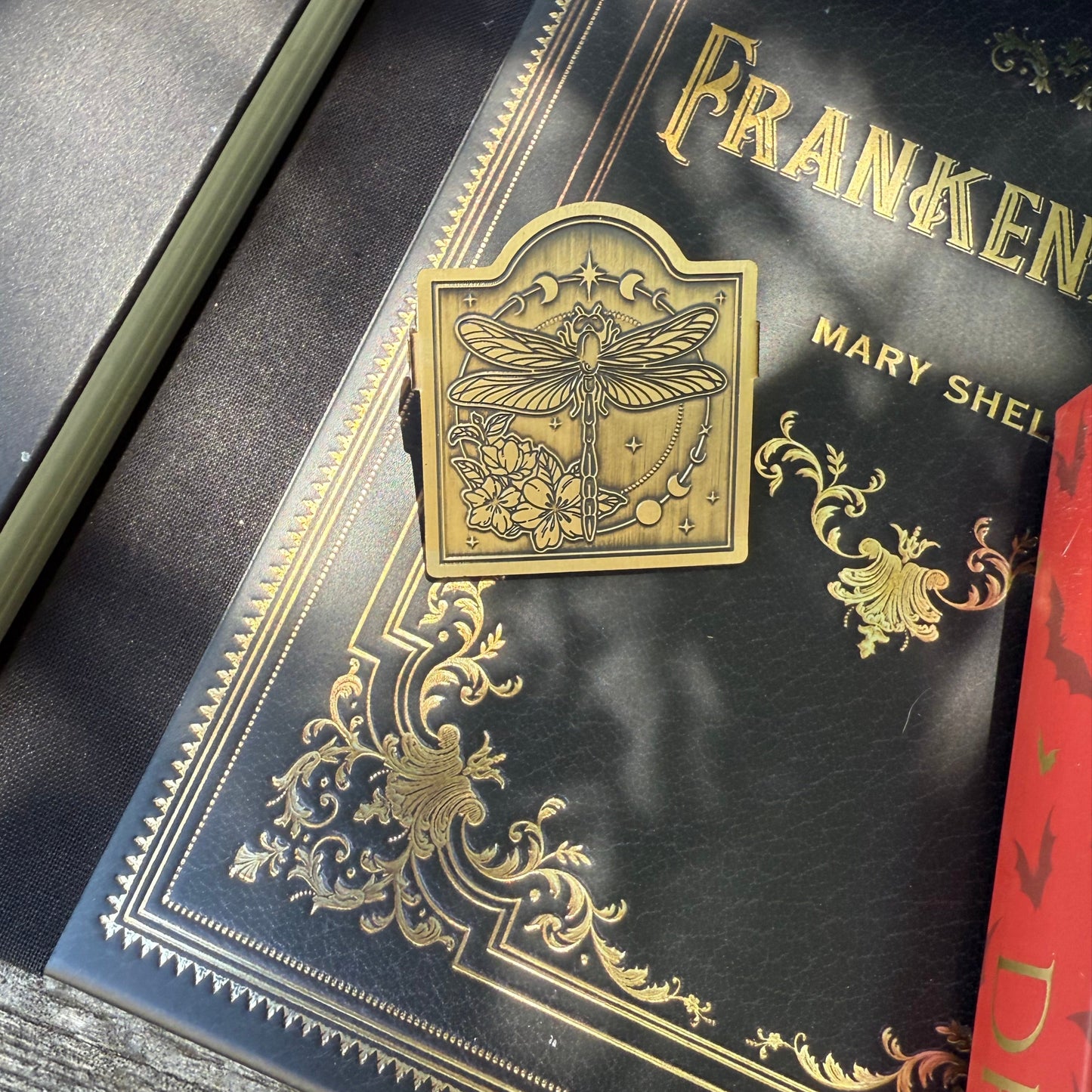 Dragonfly and Moons Clip