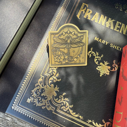 Dragonfly and Moons Clip