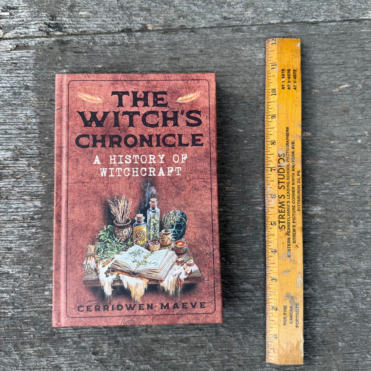 The Witch's Chronicle