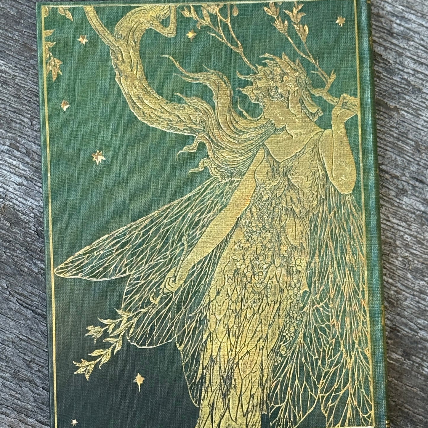 Olive Fairy