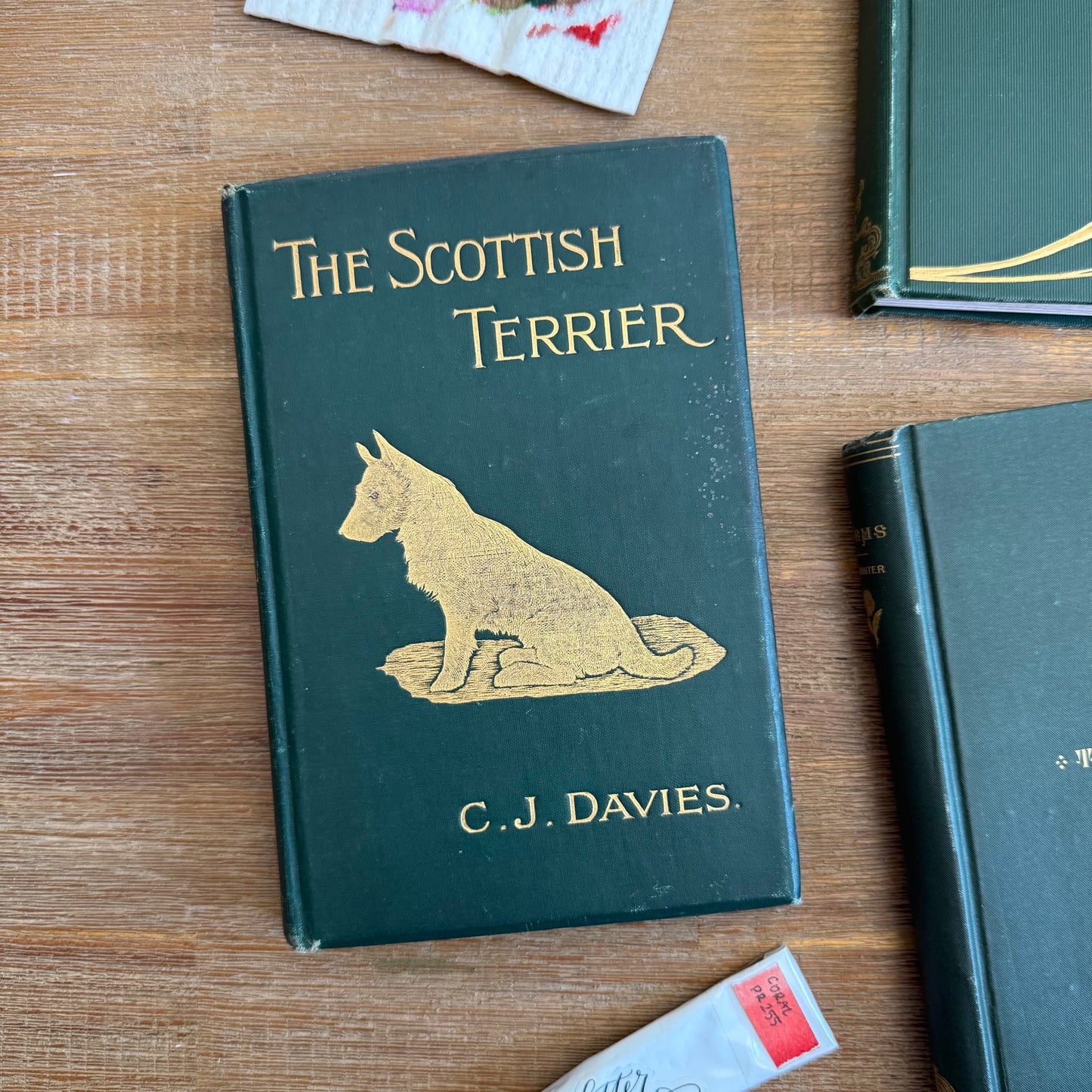 The Scottish Terrier - 1906 (HOT PRESS)