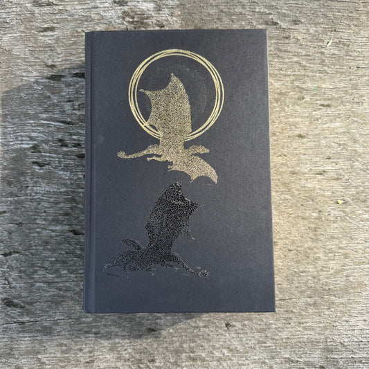 Iron Flame #2 - Black and Gold Dragons